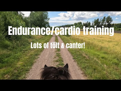 Endurance/cardio training 💦 | Riding vlog | GoPro Hero 10 | Icelandic Horse Adventures