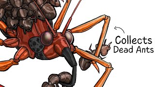 Why it Sucks To Be Born As an Assassin Bug