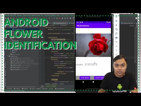 Adding Flower Identification using a custom TensorFlow lite model in Android Studio