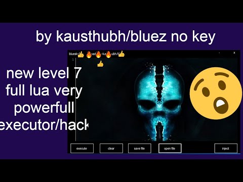 bluesskull-roblox exploit/hack level 7 full lua no key download