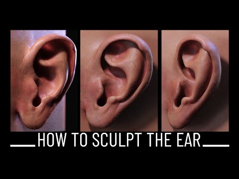 How to sculpt an Ear (Visual Anatomy Explained)