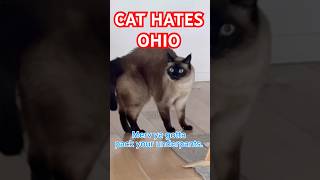 CAT HATES OHiO (EVERY TRIP SO FAR) lmoa #bagagwa #spookyseason #catsofyoutube #shortsfeed #shorts