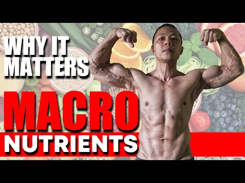 How Macros affects Fat Loss