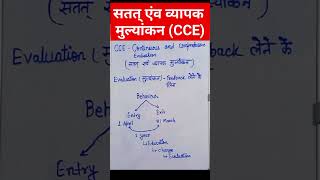 8 April 2023 #cce #evaluation #ctet #dsssb #kvs #shorts #viral