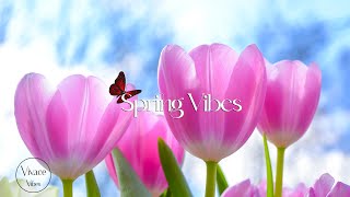 Relaxing music with wonderful views of the Spring - Spring Vibes, Vol.1