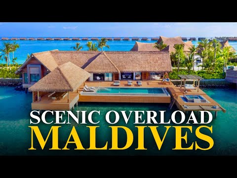 Scenic Overload: Beach Bliss in the Maldives