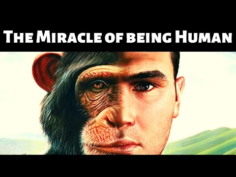The Miracle of Being Human