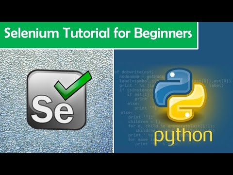The Beginner's Guide to Selenium Python: A Step-by-Step Tutorial