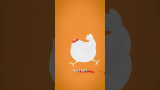 The Headless Chicken That Lived 🐔