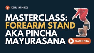 Best way to learn Pincha Mayurasana / Forearm stand: FULL CLASS!