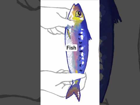 fish for my redeem :p #art #artist #digitalart #speedpaint #timelapse #fish #fyp #shorts