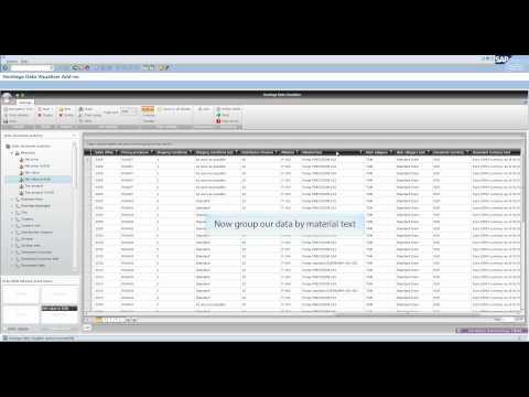 Hovitaga Data Visualizer - a BI tool for SAP