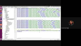 Learn Moqui Session 21 - Use of ProductStoreSetting to Get StoreId from Hostname