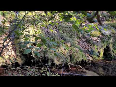 Water Fall Relaxing Nature Sound #naturesound #watersound #waterfallsounds