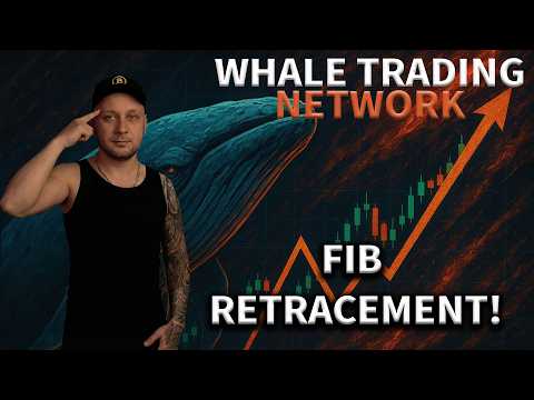 Whale Trading Network: How to setup your FIB Retracement