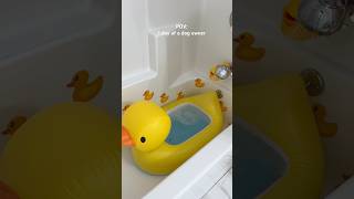 Dog owner’s daily routine 🐶 #dog #poodle #doggielife #viral #shorts #asmrsounds