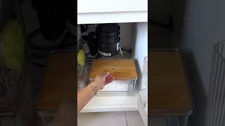 Under The Kitchen Sink Organization Idea!