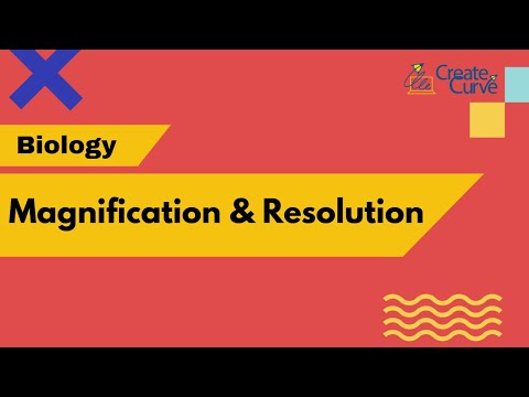 Magnification & Resolution (Biology)- IGCSE | CBSE I ICSE I IB I AP I IIT-JEE  I NEET I Edexcel