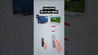 Flipper Zero: Unlock the Power of This Pocket-Sized Gadget!