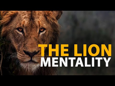 THE LION Mentality | Ray Lewis motivation I Get ready to get motivated by one of the best out there!