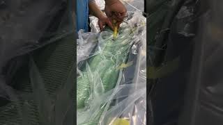 Vacuum Bagging#carbonfiber  #forgedcarbon  #carmods  #spoiler #craftsmanship  #stepbystep  #shots