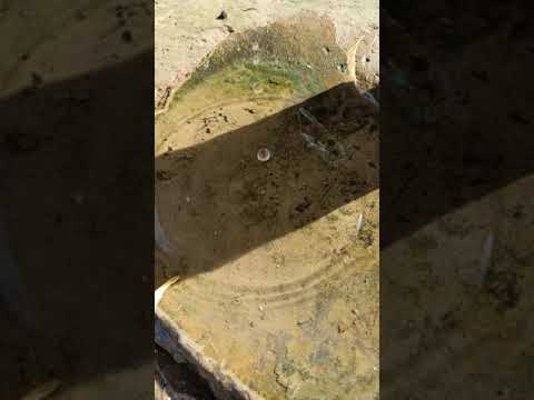 Nature satisfaction video ☺️☺️#shorts #shortsvideo #water