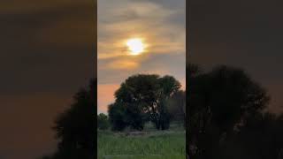 Sunset View In Clouds #hiphop #rap #dancehall #music #rapper #funny #oldclassic #travelmusic