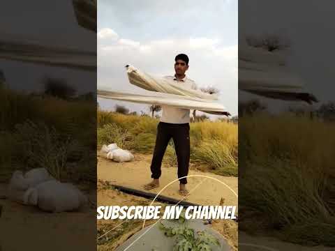 लोटनल समेटने का तरीका #punjabisong #rap #newsong #viral #song #organicfarmar #farming