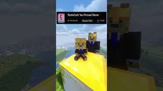 Minecraft Best Texture Pack In 3d Comparison