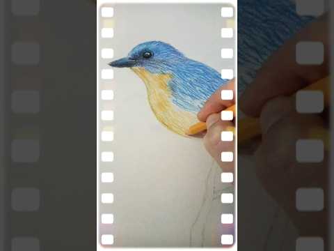 Easy blue bird drawing 🐦 #painting #art #sanat #trending #drawing #sketch #shorts #kuş #çizim #birds