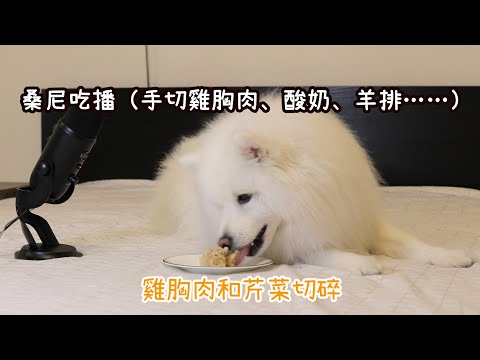 桑尼的吃播（手切雞胸肉，酸奶，餅乾，羊排……記得戴上耳機）