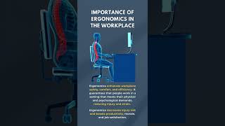 Importance of Ergonomics ın the Workplace
