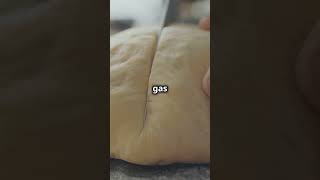 The Science of Why Bread Rises