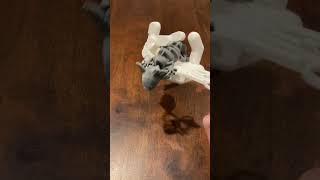 who's flicking the lights bruhhhhh #3dprinting #fidget #mechanical