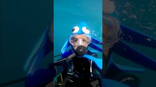 Underwater Halloween Costume🦑 #diving #scuba #scubadiver #scubadiving #halloween #halloweencostume