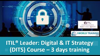 Digital and IT Strategy |1WorldTraining.com | Guidance for the Case Study and Assignments
