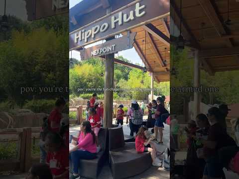 POV: Field Trip Chaperone… Fully Strapped | #momlife #concealedcarrynation