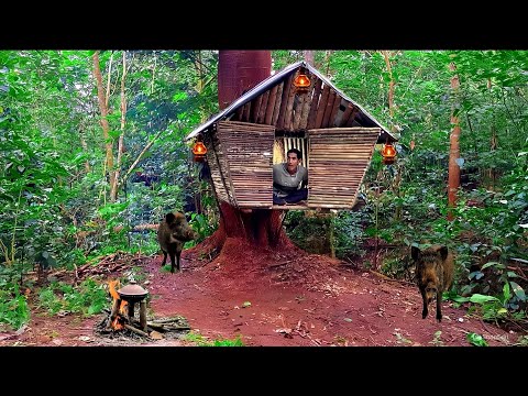 “I Built a Shelter in the Forest—Can I Survive?”season-2