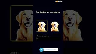 What’s the Difference Between Box-Shadow vs Drop-Shadow? Find Out NOW! #css#shorts #trending
