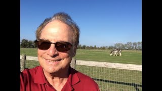 $650 Profit August 5th Emini Trading