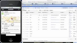 RopeFree CRM - Siebel iPhone App