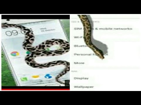 Facebook And Whatsapp Secret Tips And Tricks | In Snake Prank | Hindi