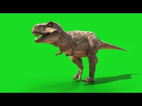 Jurassic world T-rex green screen