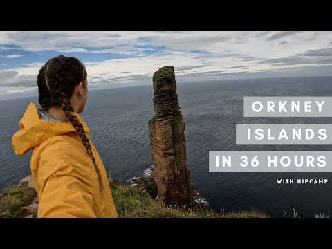 ORKNEY in 36hrs - inc. Old Man of Hoy & an Oyster Catcher | HIPCAMP