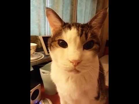20150416 150147