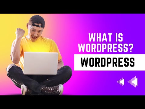 What is wordpress? wordpress vs coding website / Hosting vs Domain name/ Sub Domain ? website
