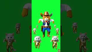 🔥golden partner！#youtubeshorts #cat #kitten #funny #cute #pets #catdance #cowboycat #dance