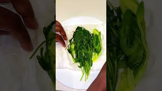 Let’s make some green 🌿 oil #food #kitchenhacks #homechef #recipes