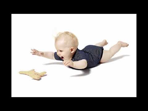 Righting and Protective Reflexes Part 2