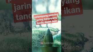 strike babon lagi pancing jaring kali ini #pancingjaring #mancingjaring #fishing